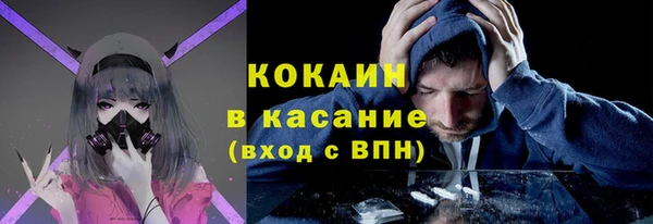 тгк Богданович