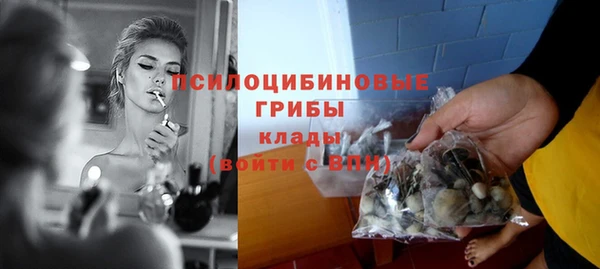мяу мяу мука Белоозёрский
