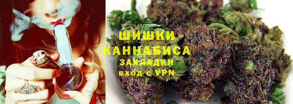 ALPHA PVP Богородицк