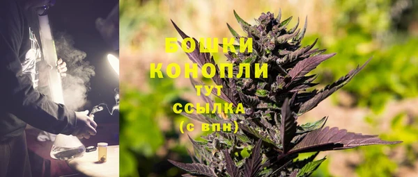 тгк Богданович
